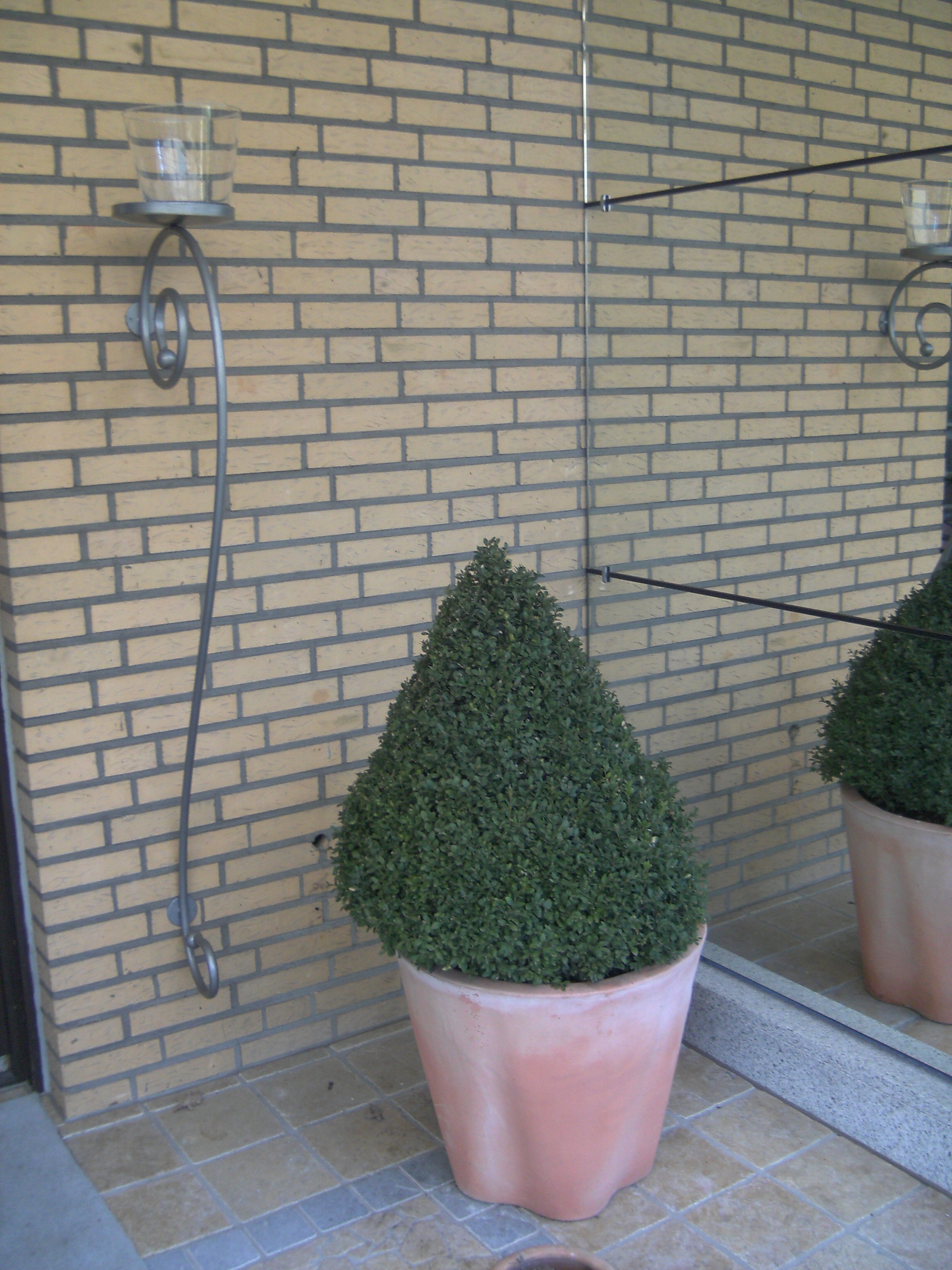 Terrasse-Lehmwiese-4
